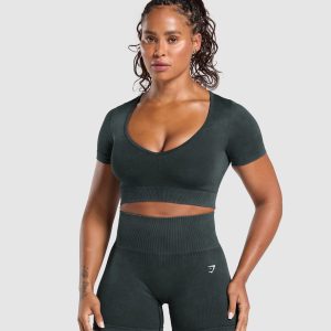 Gains Seamless Washed Crop Top