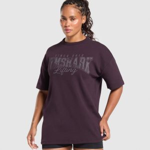 Lifting Oversized Pump Cover