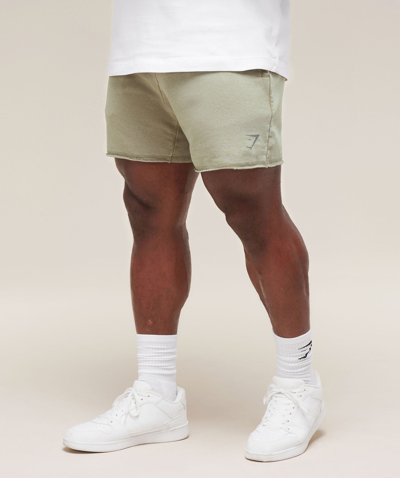 Heritage 5' Shorts