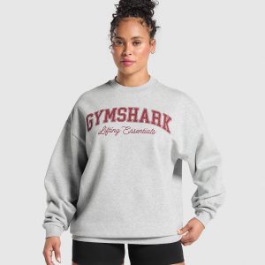 Lifting Essentials Graphic Brushed Oversized Sweatshirt