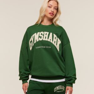 Collegiate Graphic Crew Neck Pullover